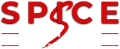 Spice Fitness Freudenstadt Logo